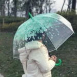Transparent Flower Umbrella(T12)