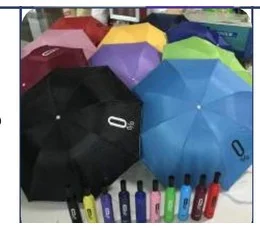 Bottle Umbrella