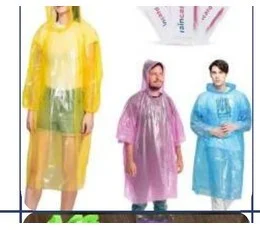 Rain Card 24 pc